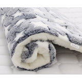 Soft Coral Fleece Winter Thicken Beds - Virtual Blue Store