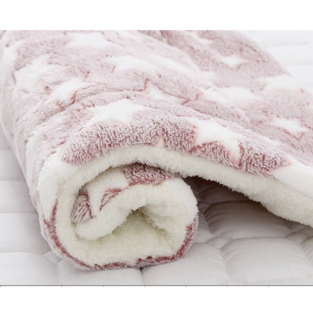 Soft Coral Fleece Winter Thicken Beds - Virtual Blue Store