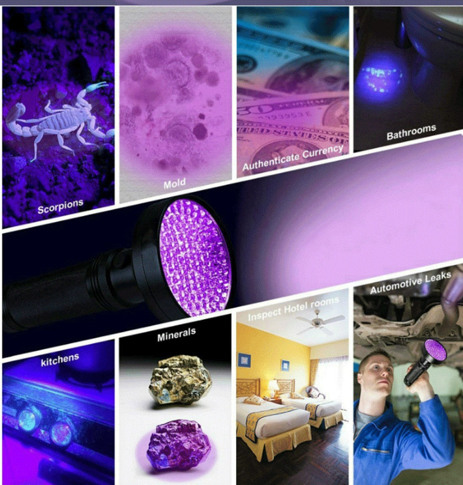 UV Flashlight 10W 100 LEDs 395 nm UV LED Torch Back Detector Light for Dog Cat Urine, Pet Stains, Bed Bugs, Scorpions 6 x AA - Virtual Blue Store