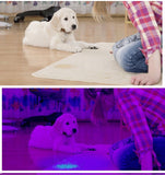 UV Flashlight 10W 100 LEDs 395 nm UV LED Torch Back Detector Light for Dog Cat Urine, Pet Stains, Bed Bugs, Scorpions 6 x AA - Virtual Blue Store