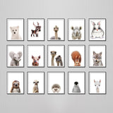 Baby Polar Bear Print Bear Cub Animal Wall Art Nursery Decor Peekaboo Printable Digital Download Large Poster Room Art Print - Virtual Blue Store