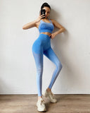 Sport Suit Woman Seamless Running Tracksuit Sportswear Gym Crop Top Gym Pant Fitness Clothes Workout Leggings Fitness Set - Virtual Blue Store