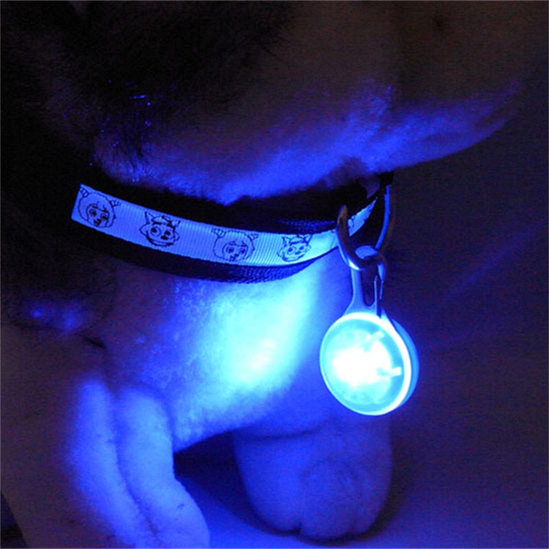 LED Flashlight Collar Dog Guide Lights Pet Night Safety Glowing Pendant Necklace Pet Luminous Bright Glowing Collar NO Battery - Virtual Blue Store