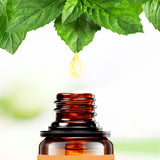 No Pills No Diet ! Plant Weight Loss 100% Strong Effect Chinese bellflower Essential oil Belly Body 7 Days Slimming Easy HXJY-12 - Virtual Blue Store