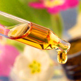 No Pills No Diet ! Plant Weight Loss 100% Strong Effect Chinese bellflower Essential oil Belly Body 7 Days Slimming Easy HXJY-12 - Virtual Blue Store