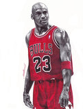 Lot style Choose Michael Jordan Basketball Stars Art print Silk poster Home Wall Decor - Virtual Blue Store