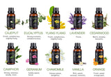 Lagunamoon 30ML Essential Oils 1OZ Rose Tea Tree Massage Humidifier Peppermint Frankincense Lavender Jasmine Oil Essential - Virtual Blue Store