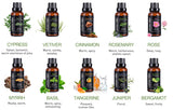 Lagunamoon 30ML Essential Oils 1OZ Rose Tea Tree Massage Humidifier Peppermint Frankincense Lavender Jasmine Oil Essential - Virtual Blue Store