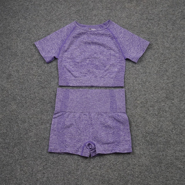 Women Seamless Yoga Set  Gym SportWear  Running  Outwork Clothing Fitness  Long  SLeeve Shirt High Waist Legging Sport Tracksuit - Virtual Blue Store