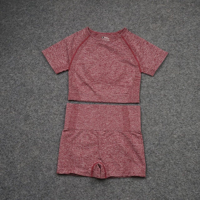 Women Seamless Yoga Set  Gym SportWear  Running  Outwork Clothing Fitness  Long  SLeeve Shirt High Waist Legging Sport Tracksuit - Virtual Blue Store