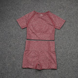 Women Seamless Yoga Set  Gym SportWear  Running  Outwork Clothing Fitness  Long  SLeeve Shirt High Waist Legging Sport Tracksuit - Virtual Blue Store