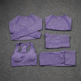 Women Seamless Yoga Set  Gym SportWear  Running  Outwork Clothing Fitness  Long  SLeeve Shirt High Waist Legging Sport Tracksuit - Virtual Blue Store