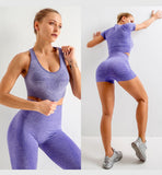 2/3/5PCS Seamless Women Yoga Set Workout Sportswear Gym Clothing Fitness Long Sleeve Crop Top High Waist Leggings Sports Suits - Virtual Blue Store
