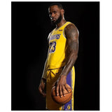 LeBron James Poster Canvas Painting Basketball Star Wall Art decor Picture Home Decoration Habitation Decorative for Living room - Virtual Blue Store