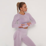 Women Seamless Yoga Set Fitness Sports Suits Gym Clothing Long Sleeve Crop Top Shirts High Waist Running Leggings Workout Pants - Virtual Blue Store