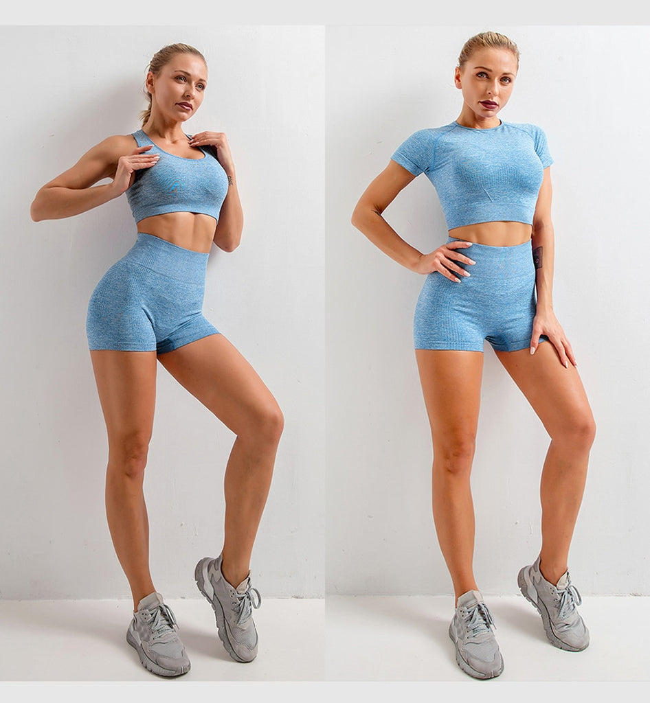 Seamless Women  yoga set Workout Gym Long Sleeve Fitness Crop Top High Waist Leggings Sport Clothing Suits - Virtual Blue Store