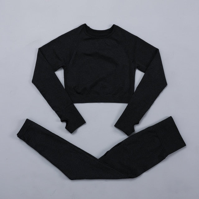 Seamless Women  yoga set Workout Gym Long Sleeve Fitness Crop Top High Waist Leggings Sport Clothing Suits - Virtual Blue Store