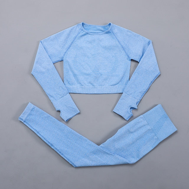Seamless Women  yoga set Workout Gym Long Sleeve Fitness Crop Top High Waist Leggings Sport Clothing Suits - Virtual Blue Store