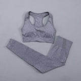 Seamless Women  yoga set Workout Gym Long Sleeve Fitness Crop Top High Waist Leggings Sport Clothing Suits - Virtual Blue Store