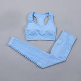 Seamless Women  yoga set Workout Gym Long Sleeve Fitness Crop Top High Waist Leggings Sport Clothing Suits - Virtual Blue Store