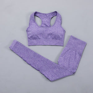 Seamless Women  yoga set Workout Gym Long Sleeve Fitness Crop Top High Waist Leggings Sport Clothing Suits - Virtual Blue Store