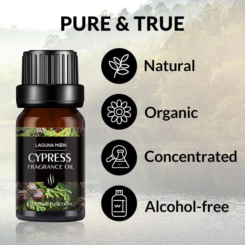 Lagunamoon 6pcs Gift Set Woody Premium Fragrance Oil 10ml Pine Needles Frankincense Sandalwood Fresh-cut Wood Benzoin Cypress - Virtual Blue Store