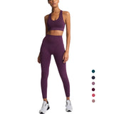 Yoga 2 Piece Set Leggings Elastic Sports Bras Gym Fitness Sportswear Workout Seamless Yoga Suit Sport Wear Suit Woman