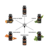 Lagunamoon 6pcs Gift Set Woody Premium Fragrance Oil 10ml Pine Needles Frankincense Sandalwood Fresh-cut Wood Benzoin Cypress - Virtual Blue Store