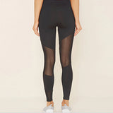 Women Mesh Black Transparent Leggings - Virtual Blue Store