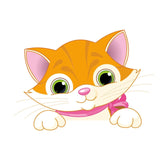 Cat Panda Giraffe Light Switch Sticker - Virtual Blue Store