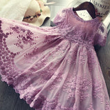 Mesh Casual Lace Embroidery Dress