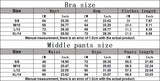 2PCS Yoga Suit Women's Tracksuits Sports Outfits Gym Fitness Set Workout Clothes Female Sports Bra Athletic Wear Yoga Clothing
