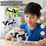 DIY Assembly RC Robot Dog Toy Remote Control Mechanical Robot Kit Science Teaching Model Electric Set Gift For Kids