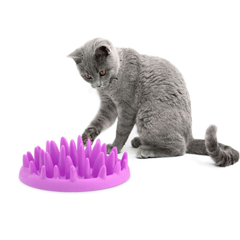 Pets Dog Cats Feeders Bowls - Virtual Blue Store