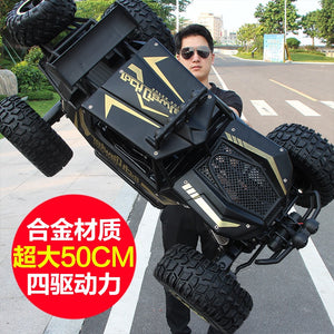 50cm Big size 1:10 4WD RC car remote control car cars high speed truck off-road truck - Virtual Blue Store