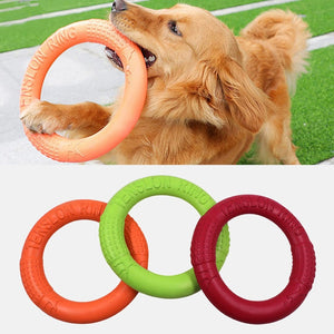 Pet Interactive Training Ring - Virtual Blue Store