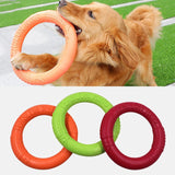 Pet Interactive Training Ring