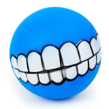 Teeth Chew Squeaking Pet Toys - Virtual Blue Store