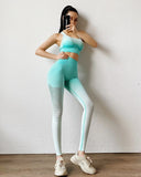 Sport Suit Woman Seamless Running Tracksuit Sportswear Gym Crop Top Gym Pant Fitness Clothes Workout Leggings Fitness Set - Virtual Blue Store