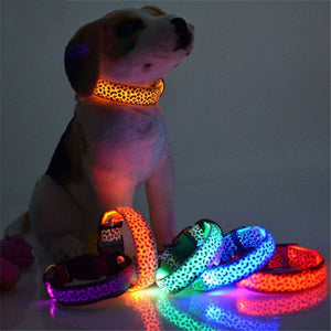 Adjustable LED Light Glow Pet Collar Leopard Nylon Pet Dog Cat Night Safety Luminous Flashing Necklace Glowing Neck Belt XWBE. - Virtual Blue Store