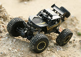 50cm Big size 1:10 4WD RC car remote control car cars high speed truck off-road truck - Virtual Blue Store