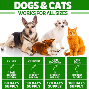 Catfit Natural Hemp Essential Oil Pet Anxiety Relief Pain Relief Oil Pet hair Care Oil Improve Immunity for Dogs and Cat - Virtual Blue Store