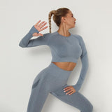 Women Seamless Yoga Set Fitness Sports Suits Gym Clothing Long Sleeve Crop Top Shirts High Waist Running Leggings Workout Pants - Virtual Blue Store