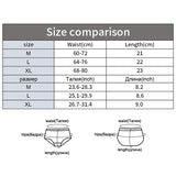 Women Sexy Lace Panties Transparent Low-waist Underpant Hollow Out Thong Female Seamless G-string Underwear Lingerie - Virtual Blue Store