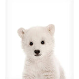 Baby Polar Bear Print Bear Cub Animal Wall Art Nursery Decor Peekaboo Printable Digital Download Large Poster Room Art Print - Virtual Blue Store
